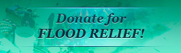 Donate for Flood Relief